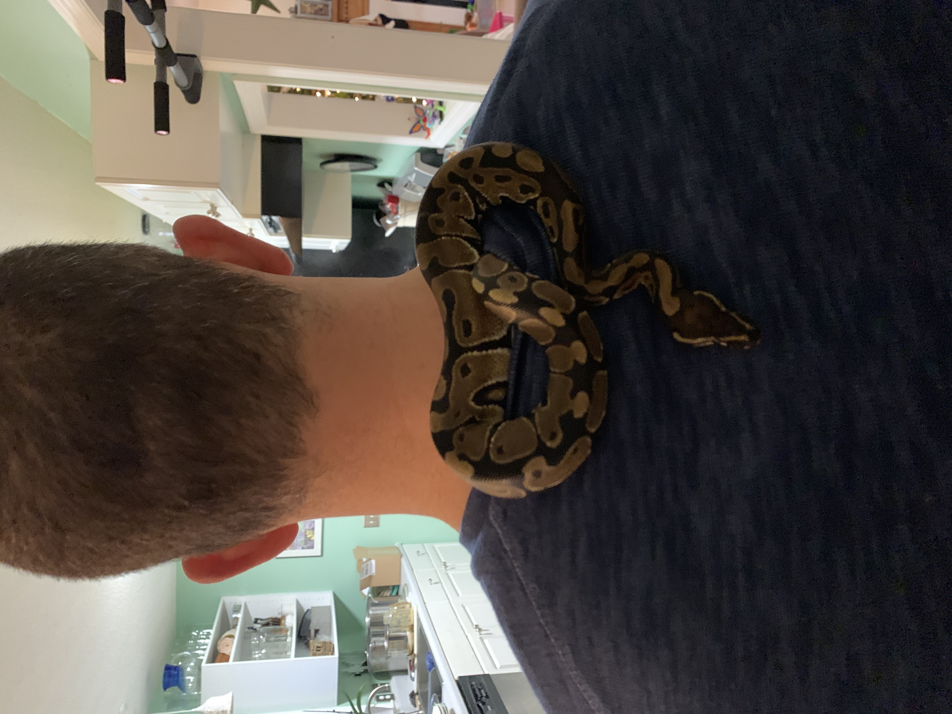Snake